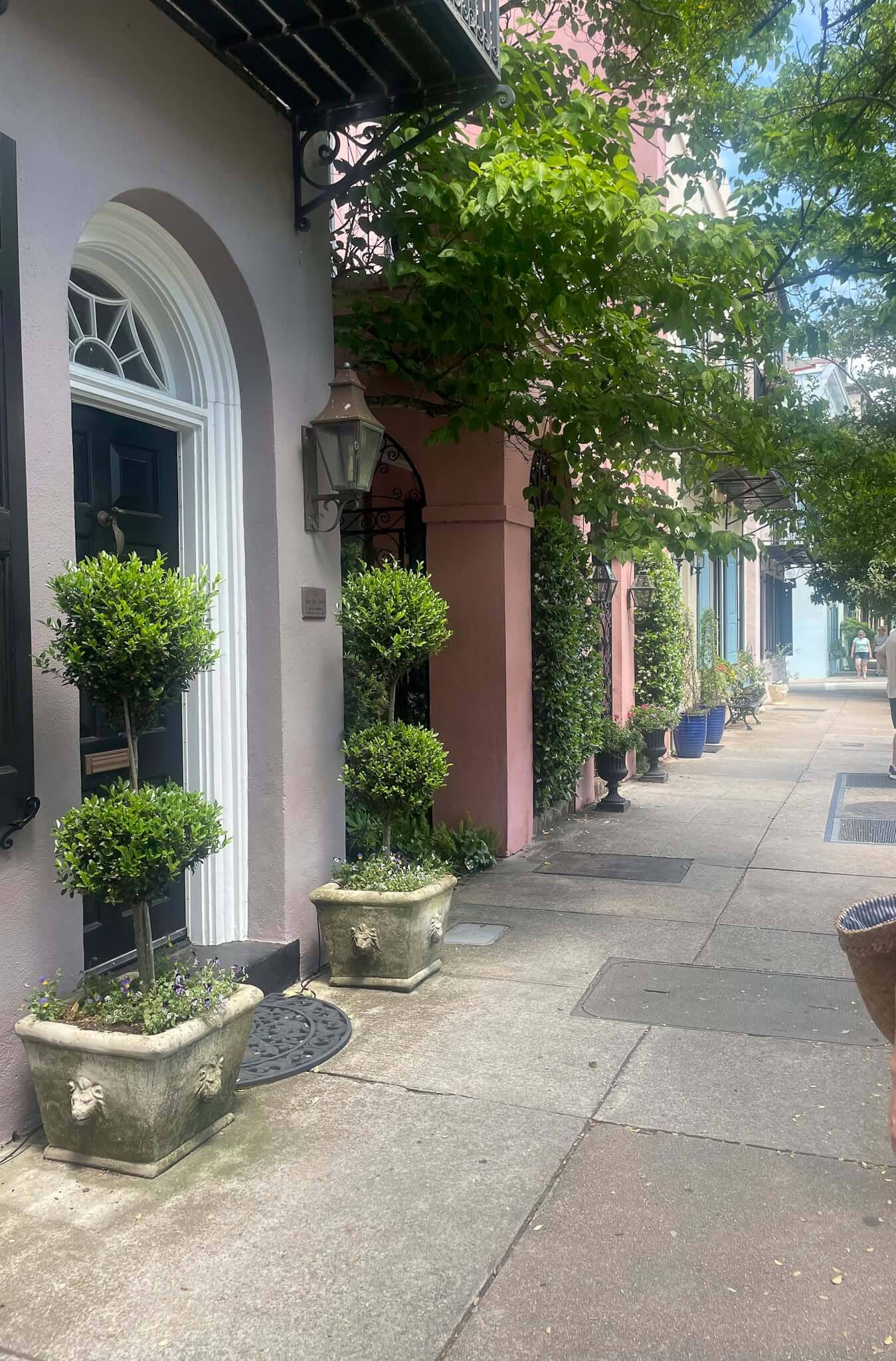 Homes on Rainbow Row Charleston SC